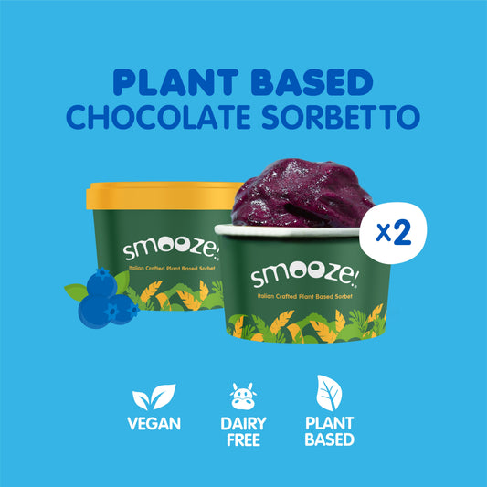 Smooze!™ Blueberry Sorbetto - Italian Crafted Plant-Based Sorbet (2 Tubs)