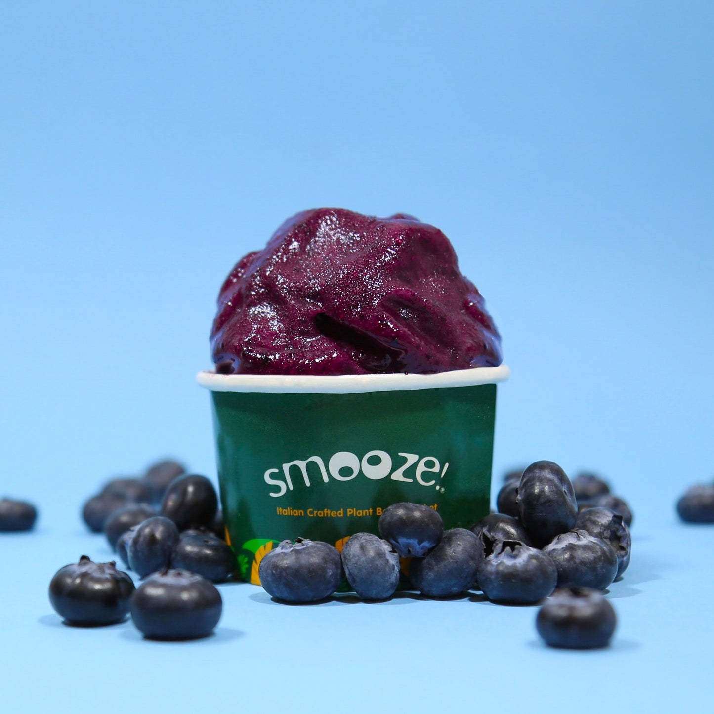 Smooze!™ Blueberry Sorbetto - Italian Crafted Plant-Based Sorbet (2 Tubs)
